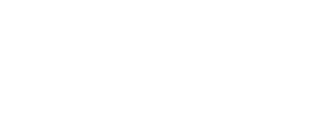 DYNO Elektro logo